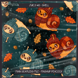 JUICY #10 SHELL Seamless Files + Matching PNGs