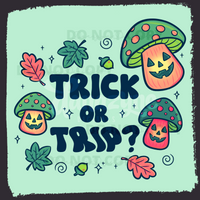 Melon Jack O'Shroom Seamless File + Matching PNG